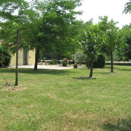 Al Parco Bed & Breakfast Ravenna Bagian luar foto