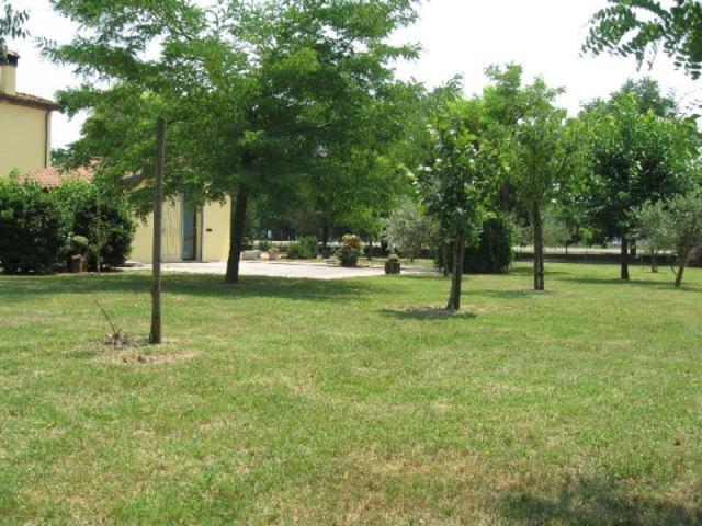 Al Parco Bed & Breakfast Ravenna Bagian luar foto